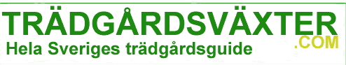 Tr�dg�rdsv�xter