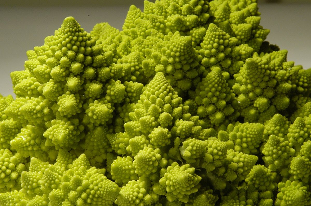 Broccoli ’Romanesco’ 
