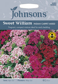 bortsnejlika sweet william